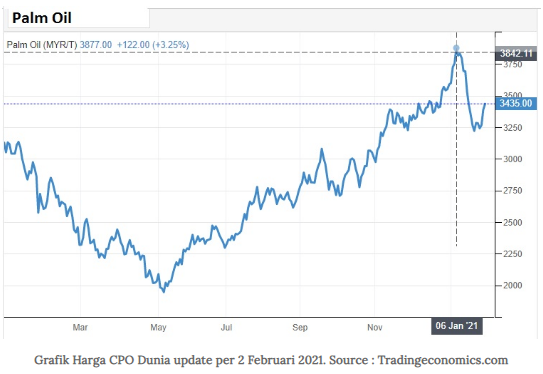 Kenaikan Harga Cpo Tertinggi Dari 2012 Apa Dampaknya Terhadap Emiten Sektor Cpo The Indonesia Capital Market Institute Ticmi